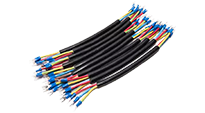 Main Power Cord